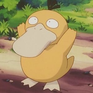 Meet your Posher, Steffi